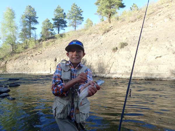 Fishing on Williams Creek 2018